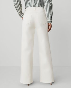 The Petite Seamed Wide-Leg Jean