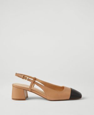 Leather Cap Toe Block Heel Pumps