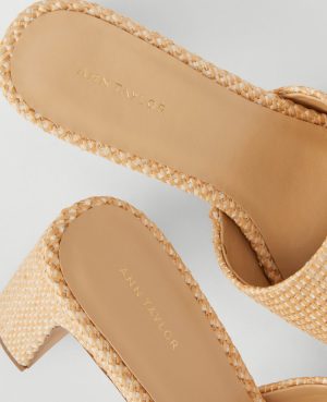 Platform Mule Sandals