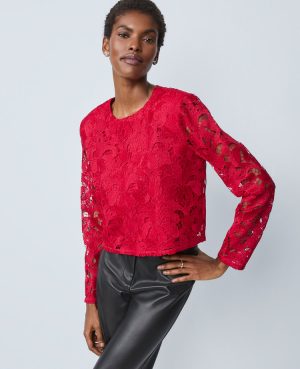 Lace Crew Neck Blouse