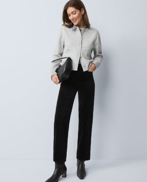 Weekend Collection Stretch Velvet Pant