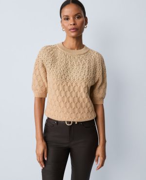 Petite Shimmer Cable Sweater Tee