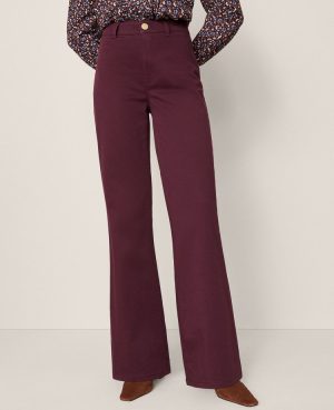 Petite Weekend Collection Go-Everywhere Flare Pant