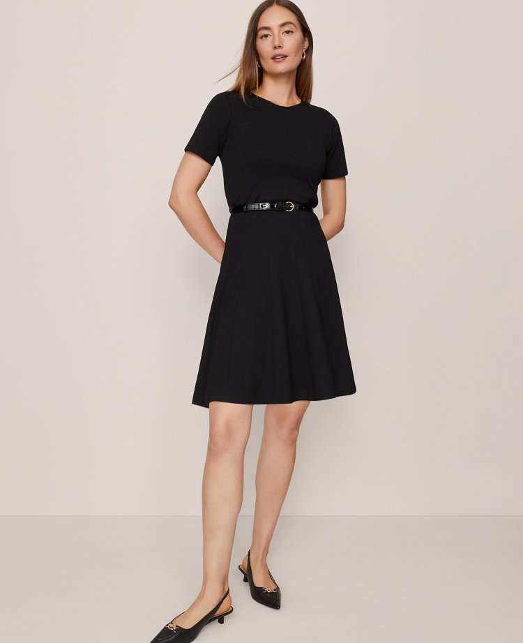 Crew Neck Belted Flare Dress