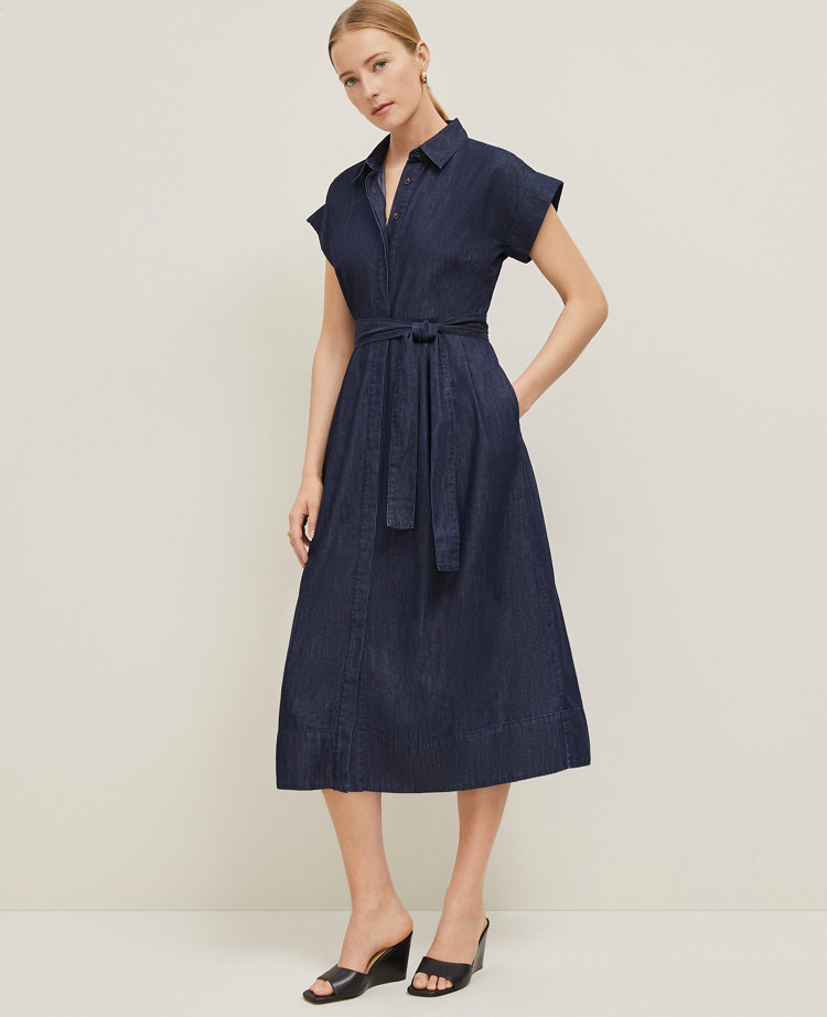 Petite Chambray Flare Midi Shirtdress