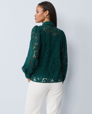 Petite Lace Blouse